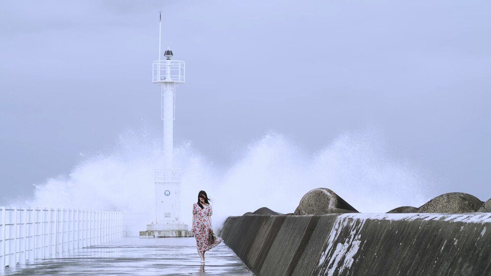 [ 육지것들 스틸컷 ]