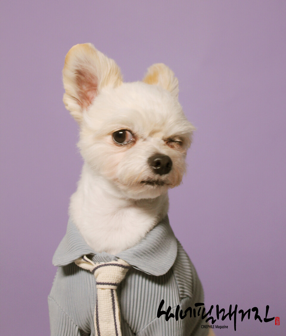 [ 이예범 포토그래퍼의 반려견 촬영 스틸컷 ]