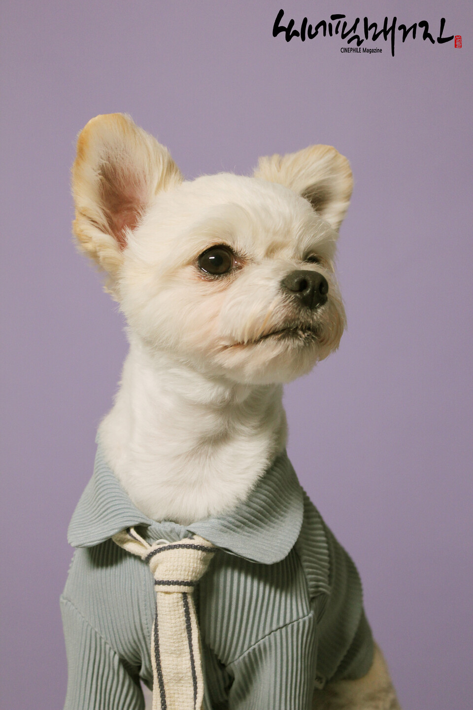 [ 이예범 포토그래퍼의 반려견 촬영 스틸컷 ]