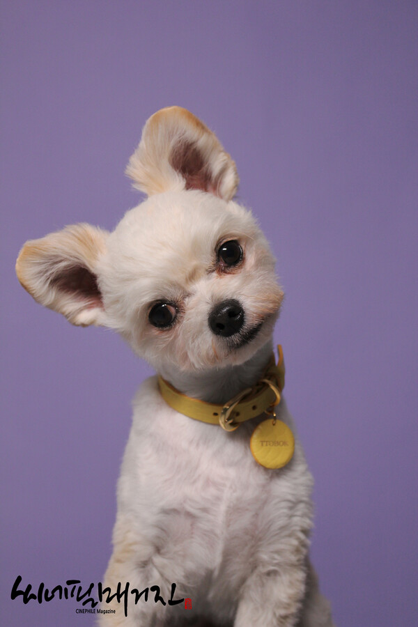 이예범 포토그래퍼의 반려견 촬영 스틸컷