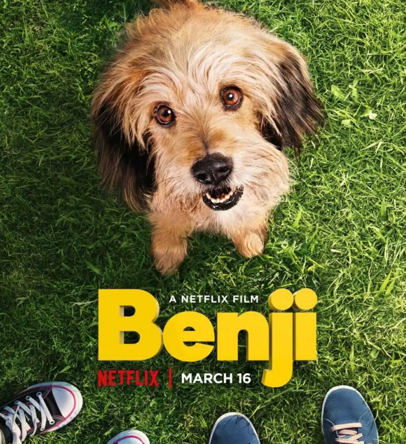 [ 넷플릭스 반려동물관련 영화 포스터 ]
