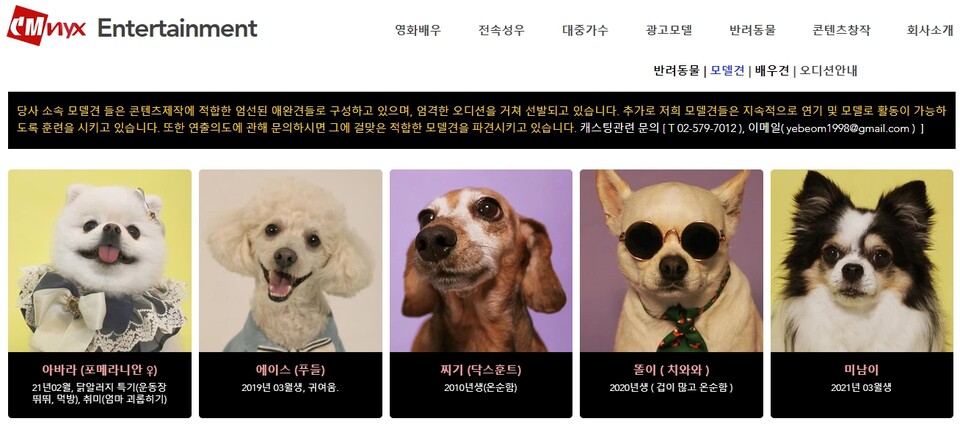 [ 닉스엔터테인먼트 소속 반려동물 이미지 캡쳐 ]