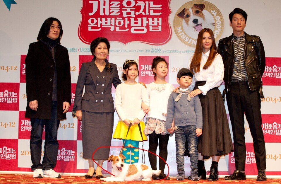 [ 영화시사회의 반려동물 인사장면 ]