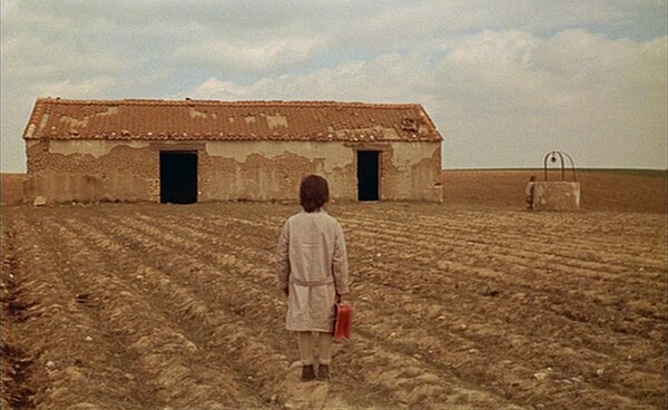  [벌집의 정령 스틸 컷]