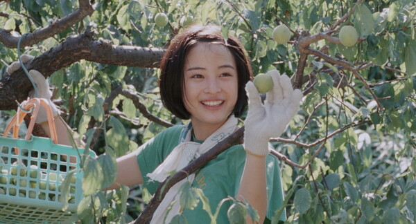 [바닷마을 다이어리 스틸 컷, 사진 = 티캐스트]