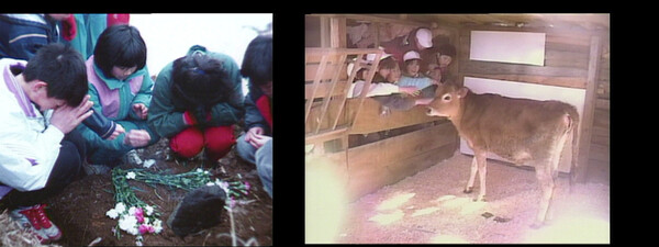 [또 하나의 교육: 이나 초등학교 봄반의 기록 스틸 컷, 사진 = BAZZAR]