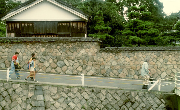 [여름정원 스틸 컷, 사진 = 에이유앤씨]