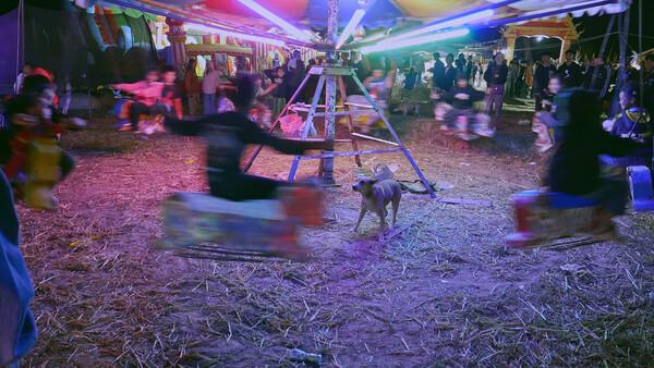 ['집으로' 스틸 컷, 사진 = 부산국제영화제]
